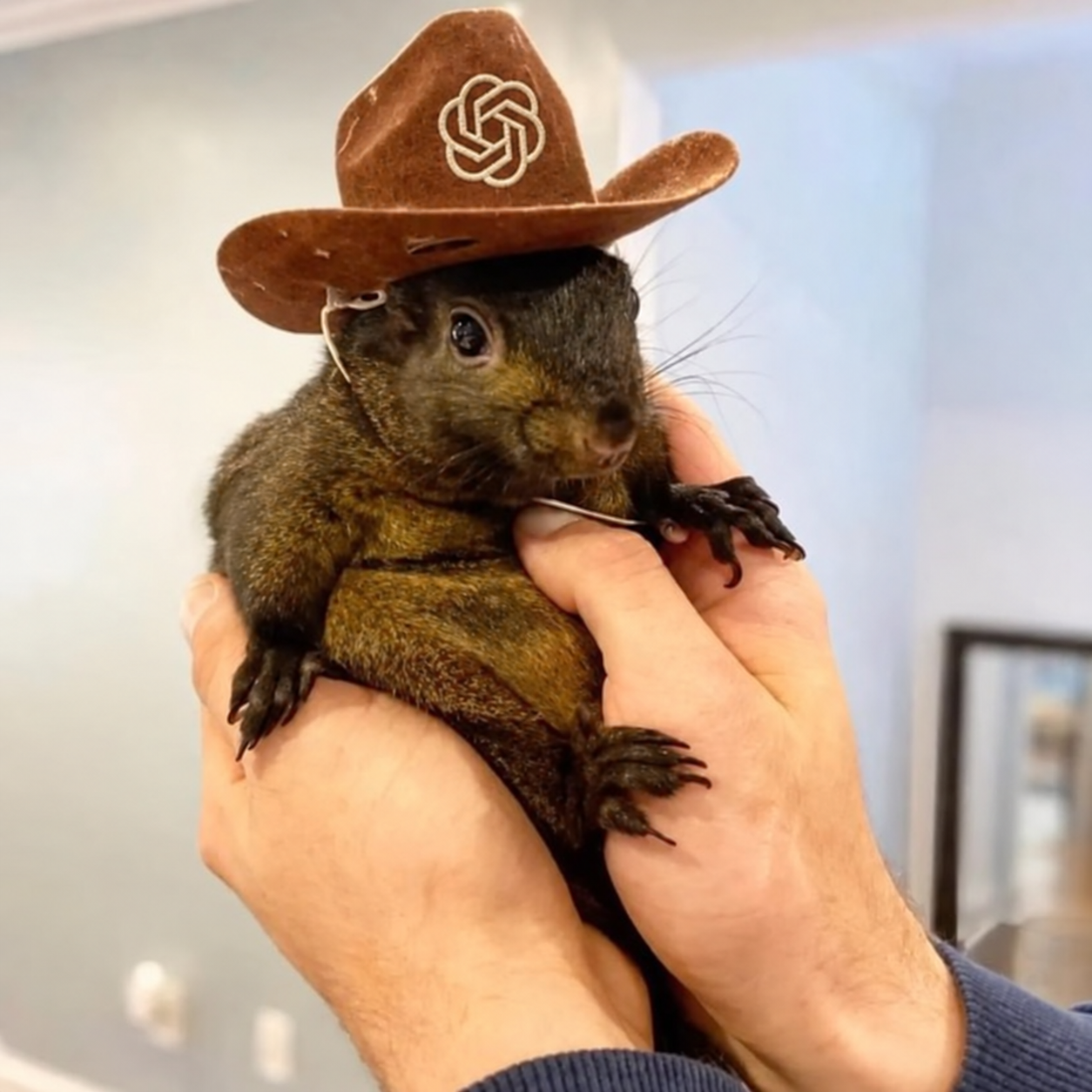 Peanut, a small brown animal wearing a cowboy hat with a white AI-knot emblem